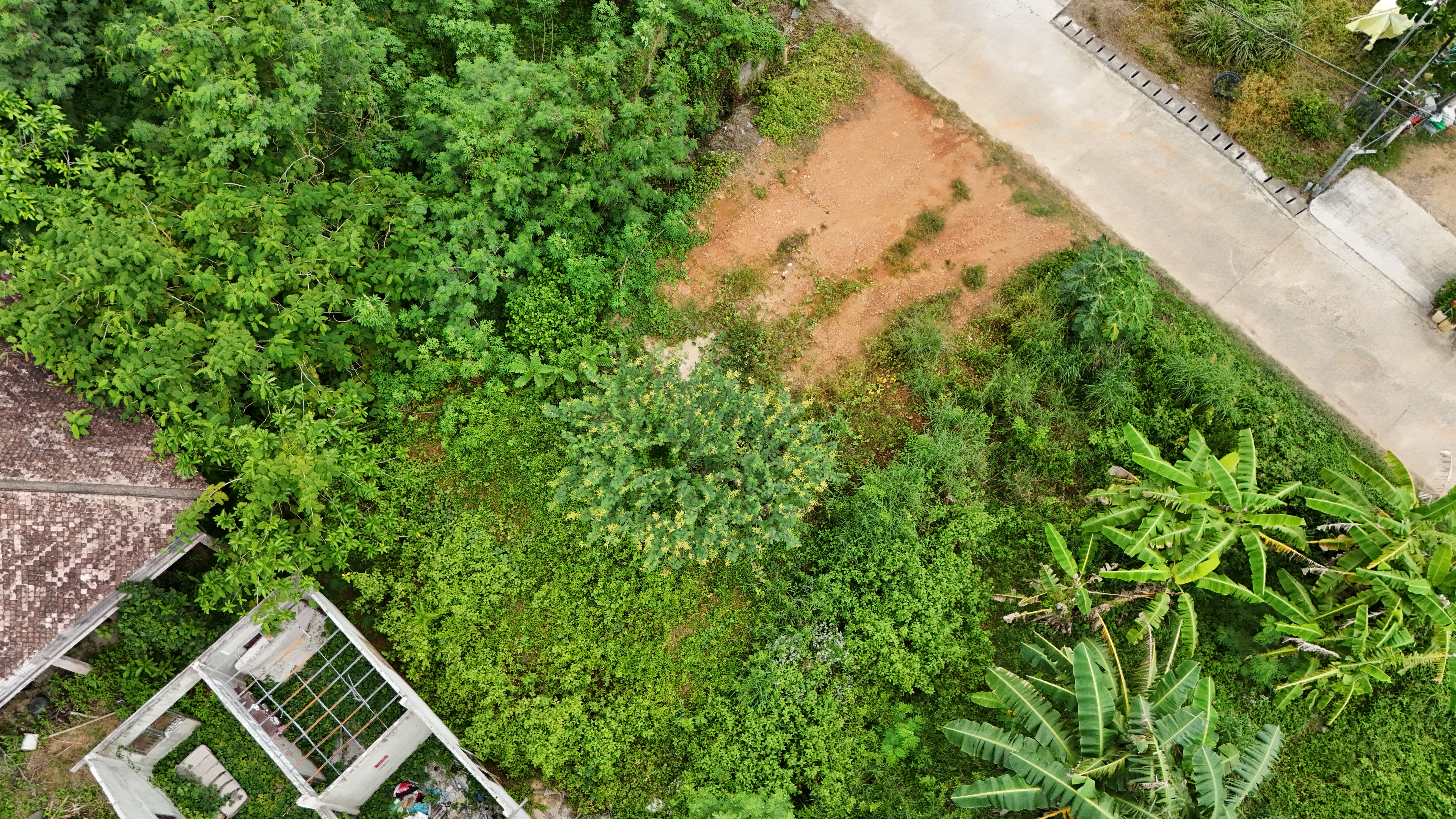 1 ลบ ที่ดิน 2ห้อง ในซอย ถมแล้ว ทุ่งงาย <<{มีภาพมุมสูง}>> #น้ำไม่ท่วม vr360 - Image 11