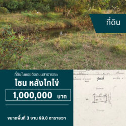 1 ลบ ที่ดินเกือบ 1 ไร่ ในซอย หลังโกไข่