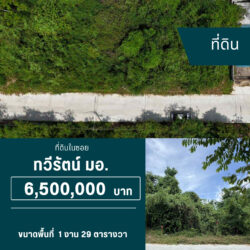 6.5 ลบ ที่ดิน 4 ห้อง ในซอย ใกล้ มอ.