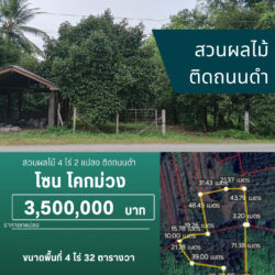 3.5 ลบ สวนผลไม้ 4 ไร่ 2 แปลง ติดถนนดำ โคกม่วง