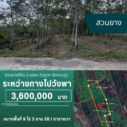 3.6 ลบ สวนยางที่ดิน 3 แปลง เกือบ 10 ไร่ ติดถนนปูน ทางไปวังพา