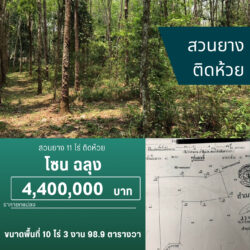4.4 ลบ สวนยาง 11 ไร่ ติดห้วย ฉลุง