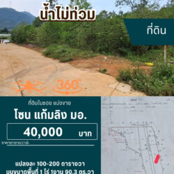VR ที่ดินในซอย แบ่งขายตารางวาล่ะ 40,000 แก้มลิง ใกล้ มอ <<{มีภาพมุมสูง}>> #น้ำไม่ท่วม VR360