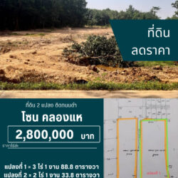 ไร่ล่ะ 2.8 ลบ ลดราคา ที่ดิน 2 แปลง ติดถนนดำ คลองแห