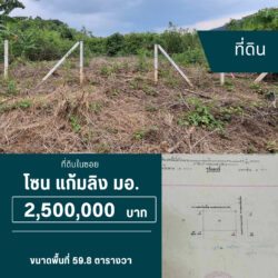 2.5 ลบ ที่ดินในซอย แก้มลิง มอ.