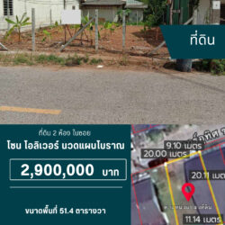 2.9 ลบ ที่ดิน 2 ห้อง ใน เมืองซอยตัน ในเมืองราษฎร์อุทิศ