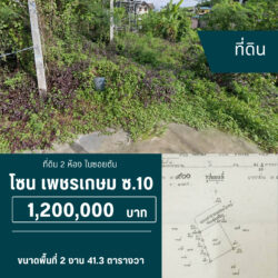 1.2 ลบ ที่ดิน 2 ห้อง ในซอยตัน ในเมือง Big C Extra