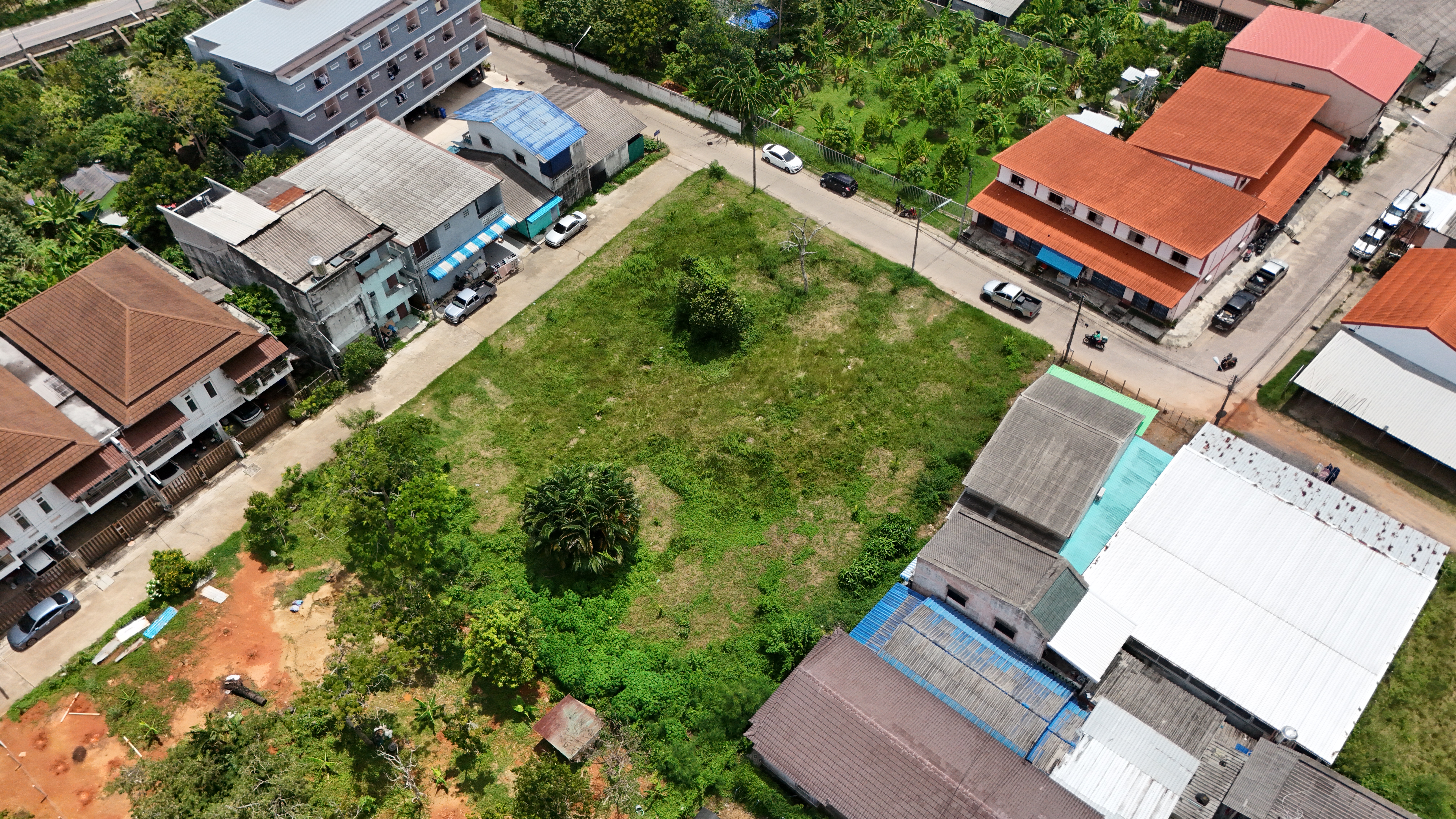 25 ลบ ที่ดิน 1ไร่ ติดถนน 2 ด้าน ใกล้ มอ. <<{มีภาพมุมสูง}>> - Image 10