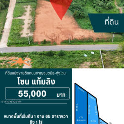 ตารางวาล่ะ 55,000 บาท ที่ดินเริ่มต้น 1 งาน 65 ตารางวา ติดถนน แบ่งขาย แก้มลิง  <<{มีภาพมุมสูง}>>