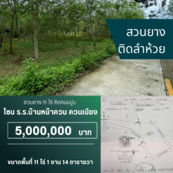 5 ลบ สวนยาง 11 ไร่ ติดถนนปูน ควนเนียง