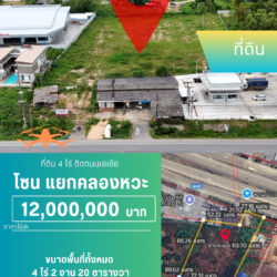ไร่ล่ะ 12 ลบ ที่ดิน 4 ไร่ ติดถนนเอเชีย แยกคลองหวะ <<{มีภาพมุมสูง}>>