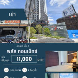 เช่าเดือนล่ะ 11,000 บ พลัสคอนเน็กซ์ รีโนเวท ชั้น 6 ปล่อยเช่า