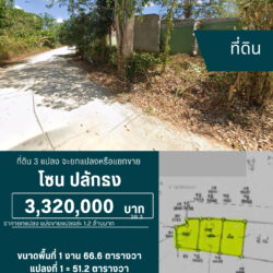 ราคาเริมต้น 1.2 ลบ ที่ดิน3แปลง ขายยกแปลงหรือแยกแปลง ปลักธง