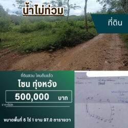 ไร่ล่ะ 500,000 บ ที่ดินสวน 6 ไร่​ครึ่ง ทุ่งหวัง #น้ำไม่ท่วม