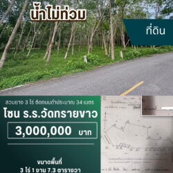 3 ลบ สวนยาง 3 ไร่ ทุ่งหวัง #น้ำไม่ท่วม