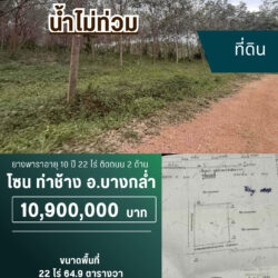 10.9 ลบ ยางพาราอายุ 10 ปี 22 ไร่ ท่าช้าง #น้ำไม่ท่วม