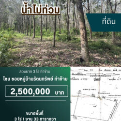 2.5 ลบ สวนยาง 3 ไร่ ท่าข้าม