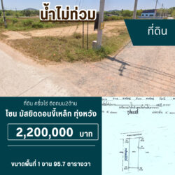 2.2 ลบ ที่ดิน 2 ครึ่งไร่ ทุ่งหวัง #น้ำไม่ท่วม