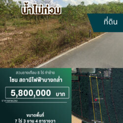 5.8 ลบ สวนยางเกือบ 8ไร่ ติดถนนดำ ท่าช้าง