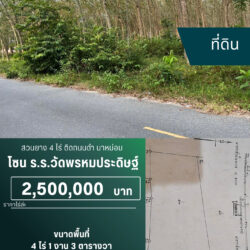 10 ลบ สวนยาง 4 ไร่ ติดถนนดำ นาหม่อม