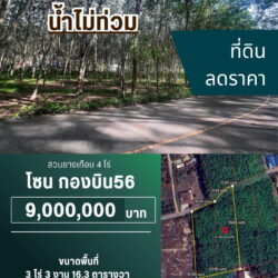 ลดราคา 9 ลบ สวนยางเกือบ 4 ไร่ กองบิน56