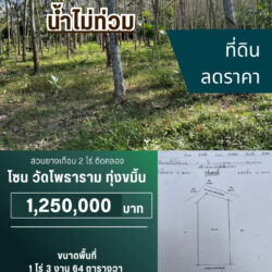 ลดราคา 1.25 ลบ สวนยางเกือบ 2 ไร่ ติดคลอง นาหม่อม #น้ำไม่ท่วม