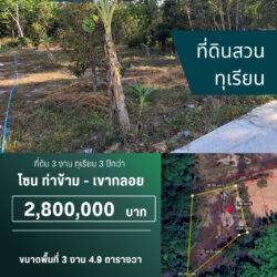 2.8 ลบ ที่ดินสวนทุเรียน 3 งาน  อายุ3 ปีกว่า ท่าข้าม #น้ำไม่ท่วม