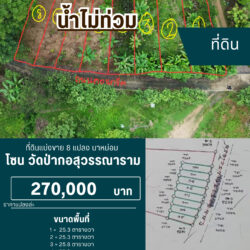 ราคาแปลงล่ะ 270,000 บ ที่ดินแบ่งขาย 8 แปลง นาหม่อม #น้ำไม่ท่วม
