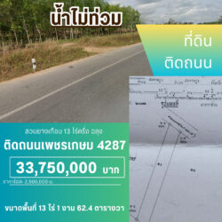 33.75 ลบ สวนยางเกือบ 13 ไร่ครึ่ง ติดถนนเพชรเกษม 4287 ฉลุง