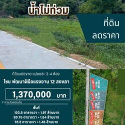 ราคาเริ่มต้น 1.37 ลบ ที่ดินแบ่งขาย แปลงล่ะ 3-4 ห้อง สงขลา