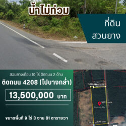 13.5 ลบ สวนยางเกือบ 10 ไร่ ติดถนน 2 ด้าน บางกล่ำ #น้ำไม่ท่วม