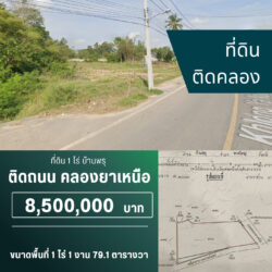 8.5 ลบ ที่ดิน 1 ไร่ หน้าติดถนน ข้างติดคลอง บ้านพรุ